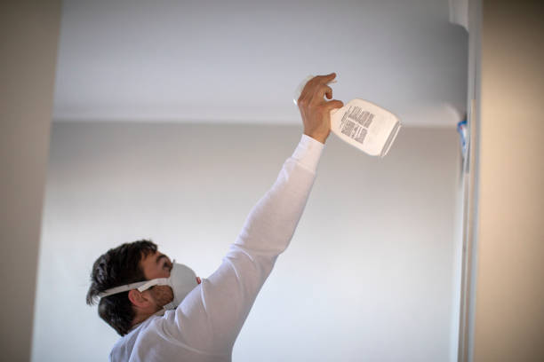 Best Toxic Mold Removal  in Cleora, OK