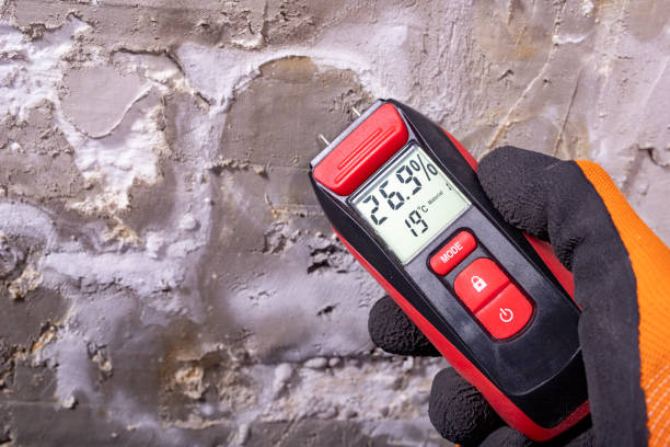 Certified Mold Removal in Cleora, OK