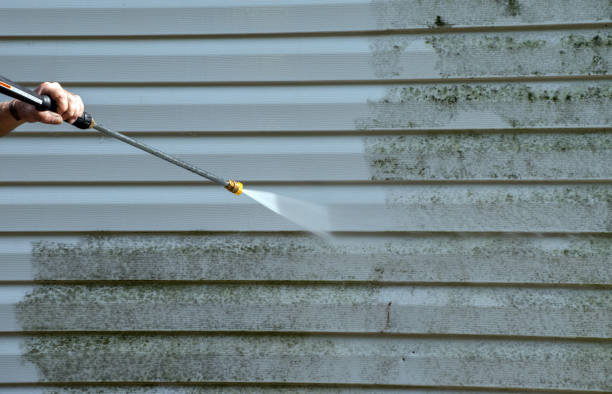 Mold Removal and Inspection in Cleora, OK
