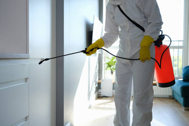  Cleora, OK Mold Removal Pros