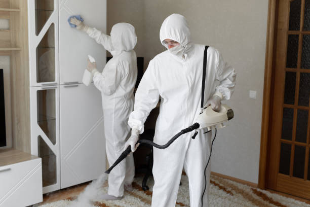 Office Mold Removal Services in Cleora, OK
