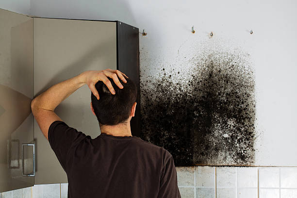 Best Crawl Space Mold Removal  in Cleora, OK